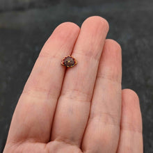 将图片加载到图库查看器,16G 5/16 Sweet Tiny Turkey Thanksgiving Labret Monroe Tragus