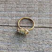 Load image into Gallery viewer, 20G 5/16 Clear Gem Gold Tone Luscious Lizard Nose Hoop