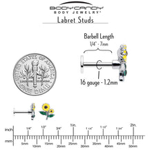 将图片加载到图库查看器,16G 1/4 Cheery Inlay Sunflowers Labret