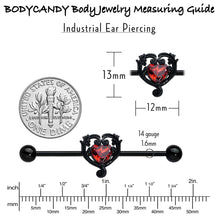 将图片加载到图库查看器,14G Red CZ Gem Black Passion Heart Industrial Barbell 38mm
