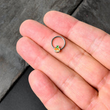 Load image into Gallery viewer, 16G 3/8 Sweet Happy Leprechaun St Patricks Hinged Segment Ring