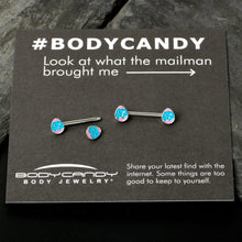 Load image into Gallery viewer, 14G 9/16 Blue Pink Celebration Easter Egg Barbell Nipple Ring Set