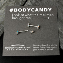 将图片加载到图库查看器,14G 9/16 Easter Bunny Blue Red Ears Barbell Nipple Ring Set