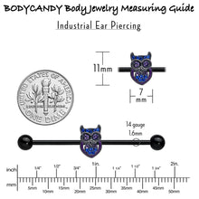Load image into Gallery viewer, 14G Blue Purple Gem Black Opulent Owl Industrial Barbell 38mm
