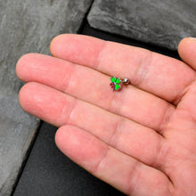 Load image into Gallery viewer, 16G 1/4 Ladybug Shamrock St Patricks Cartilage Tragus Earring