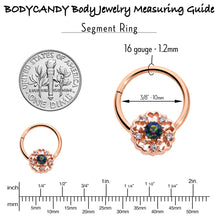 将图片加载到图库查看器,16G 3/8 Vitrail Gem Rose Gold Hue Flower Hinged Segment Ring