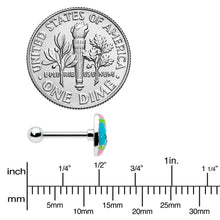 将图片加载到图库查看器,16G 5/16 Celebration Easter Egg Cartilage Tragus Earring