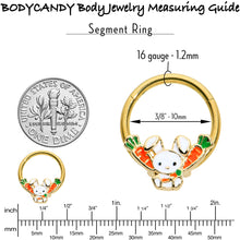 将图片加载到图库查看器,16G 3/8 Gold Tone Cutie Easter Bunny Hinged Segment Ring