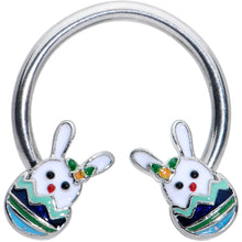 Load image into Gallery viewer, 16G 3/8 Easter Egg Bunny Horseshoe Circular Barbell