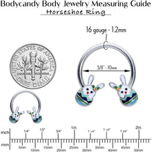 Load image into Gallery viewer, 16G 3/8 Easter Egg Bunny Horseshoe Circular Barbell