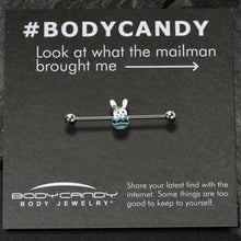 将图片加载到图库查看器,14G Easter Egg Bunny Industrial Barbell 38mm