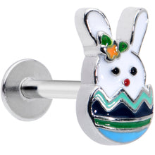 将图片加载到图库查看器,16G 5/16 Easter Egg Bunny Labret Monroe Tragus