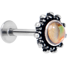 Load image into Gallery viewer, 16G 5/16 Brown Faux Shell Circle of Glam Labret Monroe Tragus