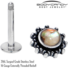 Load image into Gallery viewer, 16G 5/16 Brown Faux Shell Circle of Glam Labret Monroe Tragus
