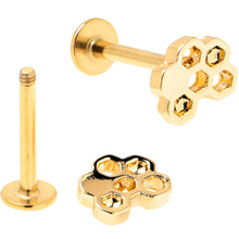 Load image into Gallery viewer, 16G 5/16 Clear Gem Gold Tone Bee Honeycomb Black Labret Set of 4