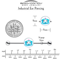 Load image into Gallery viewer, 14G Loving Blue Whales Industrial Barbell 38mm