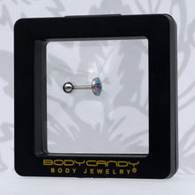 Load image into Gallery viewer, 16G 1/4 Loving Octopus Duo Cartilage Tragus Earring