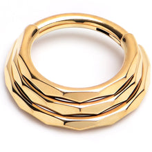 将图片加载到图库查看器,16G 5/16 Gold PVD Faceted Triple Stack Hoop Titanium Hinged Segment Ring