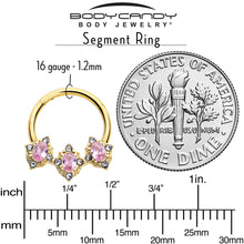 Load image into Gallery viewer, 16G 3/8 Pink Tourmaline Gold Tone Wondrous Trio Hinged Segment Ring