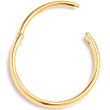 Load image into Gallery viewer, 20G 3/8 Gold PVD 316L Surgical Steel Double Precision Hinged Segment Ring