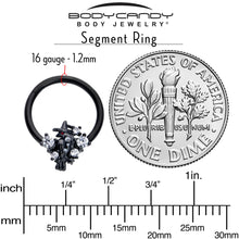 将图片加载到图库查看器,16G 3/8 Clear CZ Gem Black Raven Witch Hinged Segment Ring