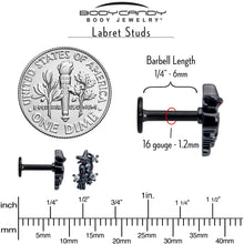 Load image into Gallery viewer, 16G 1/4 Clear CZ Gem Black Raven Witch Labret Monroe Tragus