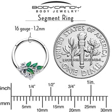 将图片加载到图库查看器,16G 3/8 Clear CZ Gem Morning Leaves Hinged Segment Ring