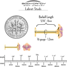 Load image into Gallery viewer, 16G 5/16 Clear Gem Gold Tone Pastel Flower Labret Monroe Tragus