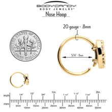 Load image into Gallery viewer, 20G 5/16 Clear CZ Gem Gold Tone Lattice Heart Nose Hoop