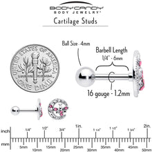 Load image into Gallery viewer, 16G 1/4 Pink Gem Lunar Dragonfly Cartilage Tragus Earring
