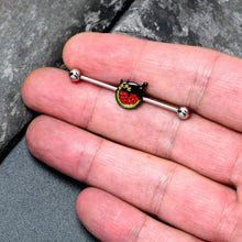Load image into Gallery viewer, 14G Watermelon Cat Love Industrial Barbell 38mm