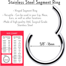 Load image into Gallery viewer, 10G 5/8 316L Surgical Steel Precision Hinged Segment Hoop