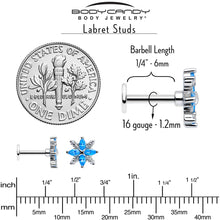 将图片加载到图库查看器,16G 1/4 Blue CZ Gem Classic Flower Flatback Stud