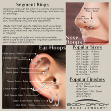 Load image into Gallery viewer, 10G 1/2 316L Surgical Steel Precision Hinged Segment Hoop