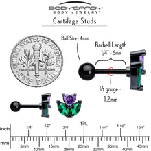 Load image into Gallery viewer, 16G 1/4 Purple Green CZ Gem Black Love Flower Cartilage Earring