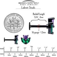 Load image into Gallery viewer, 16G 5/16 Purple Green CZ Gem Black Love Flower Labret Monroe Tragus