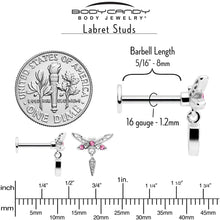 将图片加载到图库查看器,16G 5/16 Pink Gem Swank Dragonfly Dangle Labret Monroe Tragus