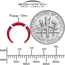 Load image into Gallery viewer, Stainless Steel Crescent Pincher Septum Ring - 14G and 16G