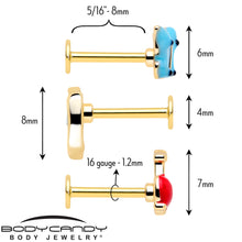 Load image into Gallery viewer, 16G 5/16 Gold Tone Cherry Flower Labret Monroe Tragus Set of 3
