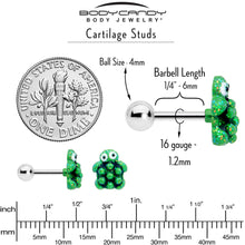 将图片加载到图库查看器,16G 1/4 Texture Turtle Cartilage Tragus Earring
