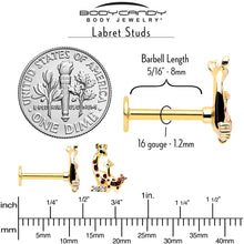 Load image into Gallery viewer, 16G 5/16 Clear CZ Gem Gold Tone Mom Baby Giraffe Flatback Stud