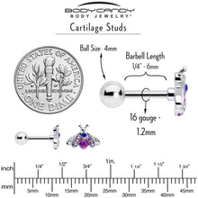 Load image into Gallery viewer, 16G 1/4 Pink Blue Gem Beautiful Insect Cartilage Tragus Earring