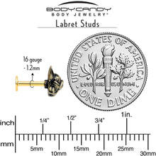 Load image into Gallery viewer, 16G French Bulldog Flat Back Earring Set Internally Threaded 3 Pack