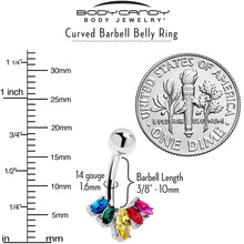 将图片加载到图库查看器,Rainbow Gem Pride Fancy Glam Belly Ring