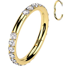 将图片加载到图库查看器,Implant Grade Titanium Forward CZ Double Sided Hoop Segment Ring