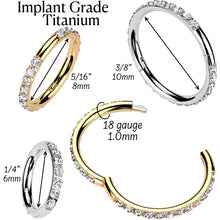 将图片加载到图库查看器,Implant Grade Titanium Forward CZ Double Sided Hoop Segment Ring