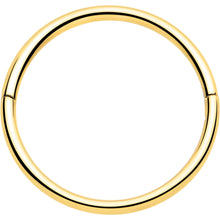 将图片加载到图库查看器,20G Implant Grade Titanium Half Closure Hinged Segment Ring