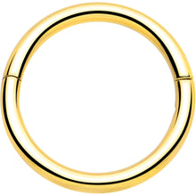 将图片加载到图库查看器,20G Implant Grade Titanium Half Closure Hinged Segment Ring