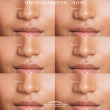 Load image into Gallery viewer, Single Row Micro Gem Implant Grade Titanium Hinged Double Hoop Nose Ring