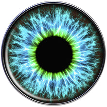 Load image into Gallery viewer, 16G Human Eye Aqua Explosion Tragus Cartilage Earring